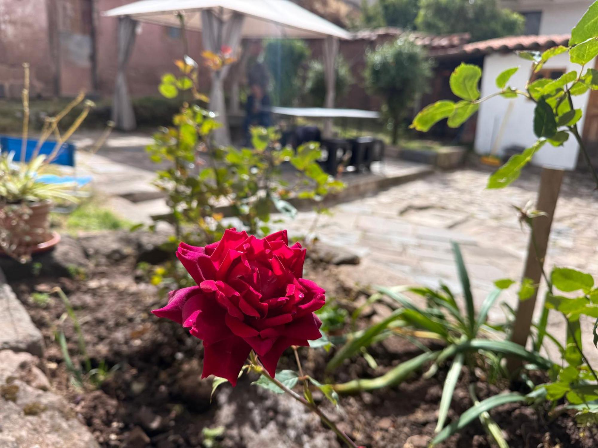 El Jardin De Santa Ana Pensión Cuzco